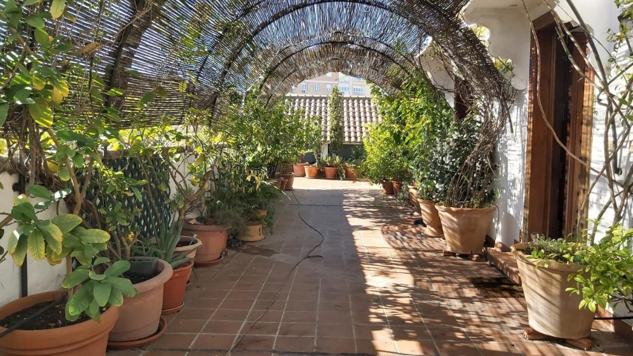 El Jardin De Wallada Córdoba Buitenkant foto